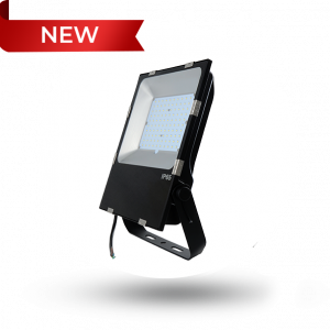 Evo FL Flood Light 150W