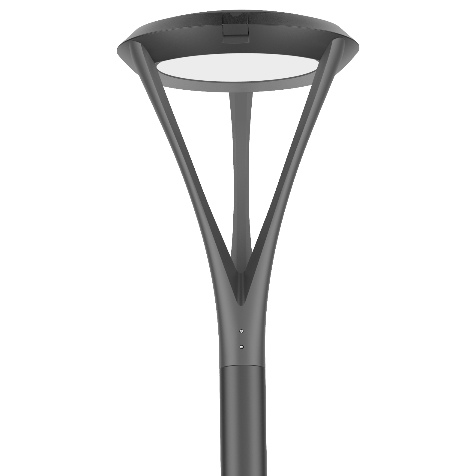 Novo PT Series Light Novo PT Series Light