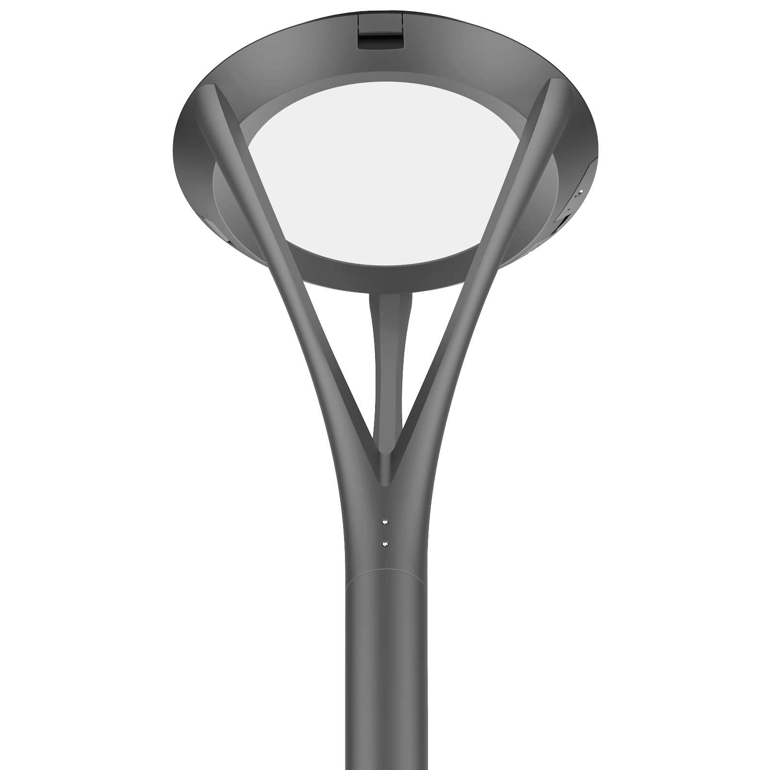 Novo PT Series Light Novo PT Series Light