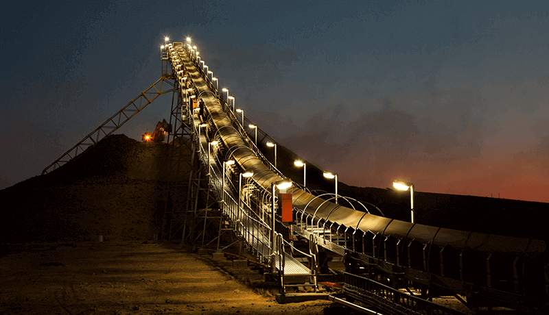 Conveyor light