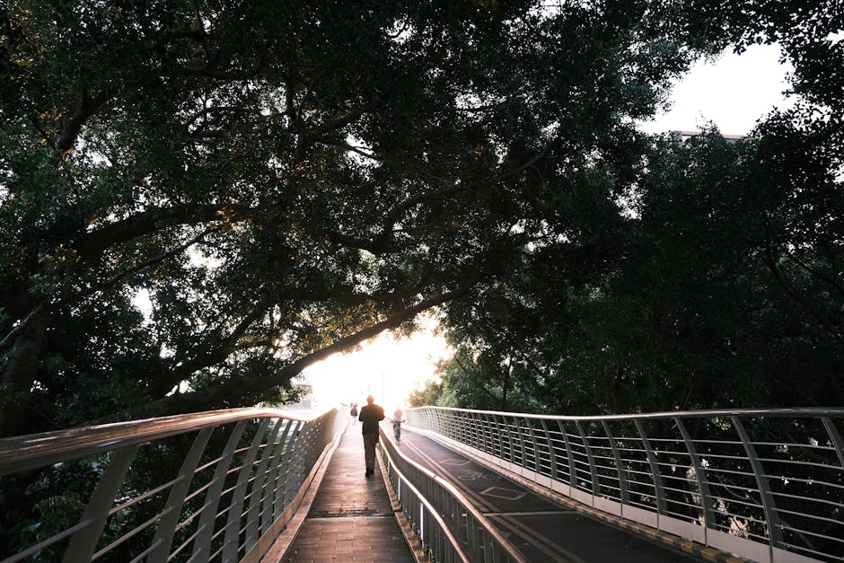 park lighting solutions