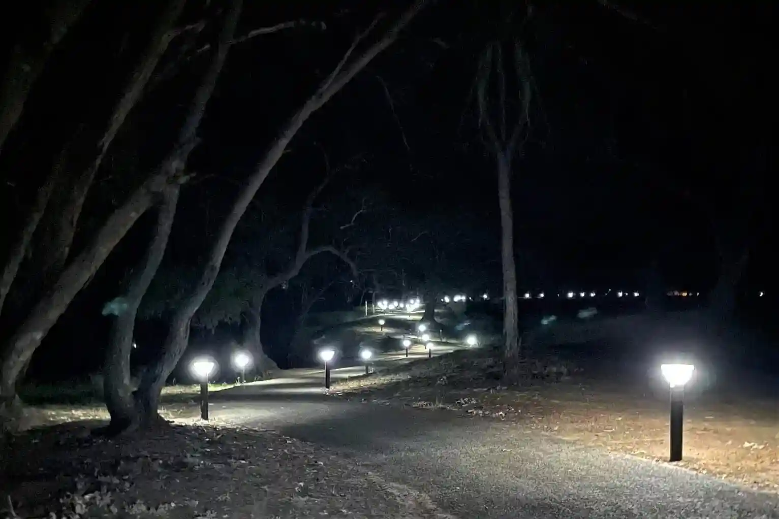 path lights solar powered